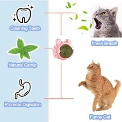 3 Pezzi Palla Di Erba Gatta Con Coperchio, Rotazione A 360 °, Palla Da Parete Di Erba Gatta, Giocattolo Di Erba Gatta, Giocattolo Per Gatti, Palla Di Erba Gatta -Cibi per gatti Italia 94307389 3