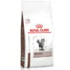 Royal Canin Hepatic Per Gatto Da 2 Kg -Cibi per gatti Italia 9531024 1