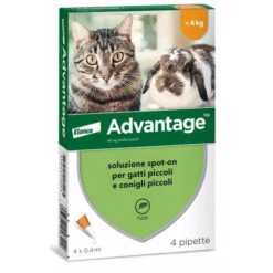 Advantage Spot-On 40mg Per Gatti E Conigli Piccoli 5 Advantage Spot-On 40mg Per Gatti E Conigli Piccoli -Cibi per gatti Italia 9532092 2
