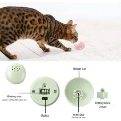 Palla Interattiva Per Gatti Con Luce A LED, Giocattolo Interattivo Per Gatti Per Interni, Grido Animale Analogico, Regalo Felino Sferico 2 Pezzi (palla Musicale Rosa, Palla Musicale Verde) 9 Palla Interattiva Per Gatti Con Luce A LED, Giocattolo Interattivo Per Gatti Per Interni, Grido Animale Analogico, Regalo Felino Sferico 2 Pezzi (palla Musicale Rosa, Palla Musicale Verde) -Cibi per gatti Italia 95460296 3