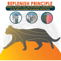 Collari Antipulci Da 38 Cm Per Gatti, Collari Contro Parassiti Regolabili E Impermeabili 9 Collari Antipulci Da 38 Cm Per Gatti, Collari Contro Parassiti Regolabili E Impermeabili -Cibi per gatti Italia 95467607 3