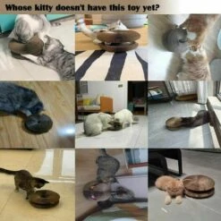 Tiragraffi Per Gatti Con Palla Giocattolo, Tiragraffi Per Gatti Con Organo Magico, Tiragraffi Pieghevole Magico, Tiragraffi Con Erba Gatta, Tiragraffi In Cartone -Cibi per gatti Italia 95704718 5