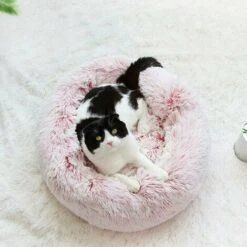 Cesto Rotondo Per Cani E Gatti Cuccia Per Gatti Morbida E Confortevole Simpatica Cuccia Per Cani In Peluche Cesto Rilassante Per Gatti, Cuccia Per Animali Domestici, Adatta Per Cuccioli Gattini Piccol 8 Cesto Rotondo Per Cani E Gatti Cuccia Per Gatti Morbida E Confortevole Simpatica Cuccia Per Cani In Peluche Cesto Rilassante Per Gatti, Cuccia Per Animali Domestici, Adatta Per Cuccioli Gattini Piccol -Cibi per gatti Italia 95705225 2
