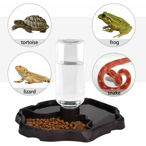 Dispenser D'acqua Per Rettili, Abbeveratoio Per Tartarughe, Mangiatoia Per Tartarughe Dispenser Per Alimenti 2 In 1 Accessorio Per Ciotola In Plastica Antigoccia - Marrone 5 Dispenser D'acqua Per Rettili, Abbeveratoio Per Tartarughe, Mangiatoia Per Tartarughe Dispenser Per Alimenti 2 In 1 Accessorio Per Ciotola In Plastica Antigoccia - Marrone - immagine 3
