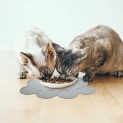 Tappetino Per Ciotola Per Cani E Gatti Tappetino Per Alimenti In Silicone Per Animali Domestici Tappetino Per Alimentazione Antiscivolo Facile Da Indossare （Grigio） -Cibi per gatti Italia 95787899 2
