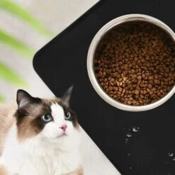 Tappetino Antiscivolo Per Ciotola Per Cani In Silicone Tappetino Per Ciotola Per Animali Domestici Tappetino Per Ciotola Impermeabile 48x30cm, Nero 8 Tappetino Antiscivolo Per Ciotola Per Cani In Silicone Tappetino Per Ciotola Per Animali Domestici Tappetino Per Ciotola Impermeabile 48x30cm, Nero -Cibi per gatti Italia 95788552 2