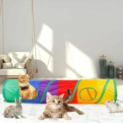 Tunnel Per Gatti Domestici, Tunnel Per Gatti Pieghevole, Tubo Giocattolo Pieghevole Per Animali Domestici, Con Palla Giocattolo, Adatto A Conigli, Cuccioli, Furetti, Porcellini D'India, Aumenta Il Div 9 Tunnel Per Gatti Domestici, Tunnel Per Gatti Pieghevole, Tubo Giocattolo Pieghevole Per Animali Domestici, Con Palla Giocattolo, Adatto A Conigli, Cuccioli, Furetti, Porcellini D'India, Aumenta Il Div -Cibi per gatti Italia 96203224 3
