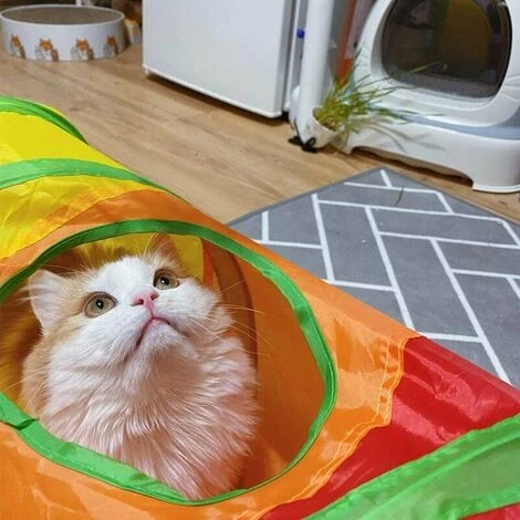 Tunnel Per Gatti Domestici, Tunnel Per Gatti Pieghevole, Tubo Giocattolo Pieghevole Per Animali Domestici, Con Palla Giocattolo, Adatto A Conigli, Cuccioli, Furetti, Porcellini D'India, Aumenta Il Div 6 Tunnel Per Gatti Domestici, Tunnel Per Gatti Pieghevole, Tubo Giocattolo Pieghevole Per Animali Domestici, Con Palla Giocattolo, Adatto A Conigli, Cuccioli, Furetti, Porcellini D'India, Aumenta Il Div - immagine 4