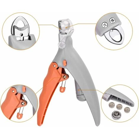 LITZEE Tagliaunghie Per Gatti E Tagliaunghie Tagliaunghie Per Animali Domestici, Tagliaunghie Per Cani E Tagliaunghie, Forbici Per Unghie Per Animali Domestici (Tipo 1) 5 LITZEE Tagliaunghie Per Gatti E Tagliaunghie Tagliaunghie Per Animali Domestici, Tagliaunghie Per Cani E Tagliaunghie, Forbici Per Unghie Per Animali Domestici (Tipo 1) - immagine 3