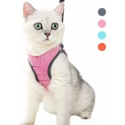 Pettorina Per Gatti LITZEE Pettorina Per Gatti - Imbracatura E Guinzaglio Per Gatti Ultraleggeri Imbracatura Per Gattini Regolabile A Prova Di Perdite Per Cucciolo Coniglio Ferret S -Cibi per gatti Italia 96299392 5