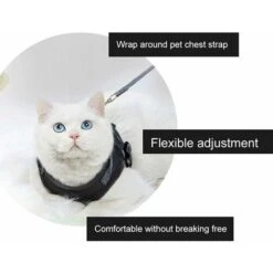 LITZEE Pettorina Per Gatti Pettorina Per Gatti, Pettorina Per Gatti, Guinzaglio Pettorina Per Gatti, Guinzaglio Per Pettorina Per Gatti, Pettorina Per Gatti Con Gilet Riflettente Al Guinzaglio, Guinza -Cibi per gatti Italia 96300322 5