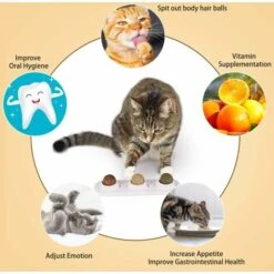 LITZEE Catnip Catnip Toys, Catnip Balls Commestibili, Catnip Sicuro E Sano, Cat Family Chasing Toys, Pulizia Dei Denti, Protezione Dello Stomaco -Cibi per gatti Italia 96300919 4