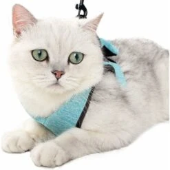 Pettorina Per Gatti LITZEE Pettorina Per Gatti - Set Di Pettorina E Guinzaglio Per Gatti Ultraleggeri Imbracatura Per Gattini Regolabile A Prova Di Perdite Per Cucciolo Di Coniglio Furetto (verde ， L) -Cibi per gatti Italia 96301050 5