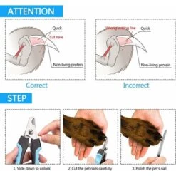 LITZEE Tagliaunghie Per Gatti E Tagliaunghie Tagliaunghie Per Cani E Lima Per Unghie Con Protezione E Blocco Di Sicurezza Per Cani Di Taglia Medio-grande 11 LITZEE Tagliaunghie Per Gatti E Tagliaunghie Tagliaunghie Per Cani E Lima Per Unghie Con Protezione E Blocco Di Sicurezza Per Cani Di Taglia Medio-grande -Cibi per gatti Italia 96301710 5