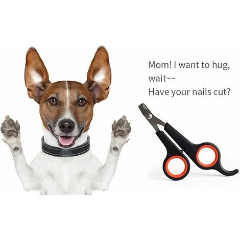 Tagliaunghie Per Cani E Gatti - Per Toelettatura Di Sicurezza E Piccoli Animali (nero E Rosso) 4 Tagliaunghie Per Cani E Gatti - Per Toelettatura Di Sicurezza E Piccoli Animali (nero E Rosso) - immagine 2