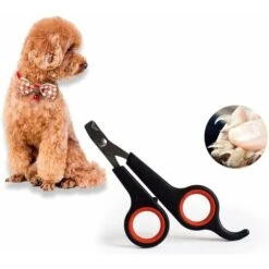 Tagliaunghie Per Cani E Gatti - Per Toelettatura Di Sicurezza E Piccoli Animali (nero E Rosso) 9 Tagliaunghie Per Cani E Gatti - Per Toelettatura Di Sicurezza E Piccoli Animali (nero E Rosso) -Cibi per gatti Italia 96445109 3