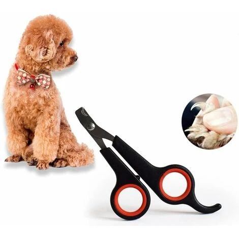 Tagliaunghie Per Cani E Gatti - Per Toelettatura Di Sicurezza E Piccoli Animali (nero E Rosso) 5 Tagliaunghie Per Cani E Gatti - Per Toelettatura Di Sicurezza E Piccoli Animali (nero E Rosso) - immagine 3