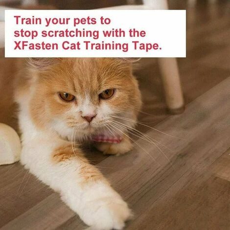 Protezione Antigraffio Per Porte, Mobili E Pareti, Cane, Gatto, Pellicola Antigraffio, Trasparente, Adesivo, Divano, Tavolo, Seggiolino Auto Antigraffio 15300cm 6 Protezione Antigraffio Per Porte, Mobili E Pareti, Cane, Gatto, Pellicola Antigraffio, Trasparente, Adesivo, Divano, Tavolo, Seggiolino Auto Antigraffio 15300cm - immagine 4