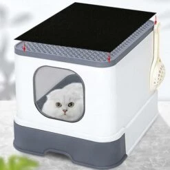 Filtri A Carbone Attivo Filtri Per Odori Di Carbone,Filtri Di Ricambio Per Lettiera Per Gatti,Filtri Di Ricambio Per Lettiera Per Gatti,Filtri Di Ricambio Per Gatti A Carbone Attivo,Filtri Di Ricambio 11 Filtri A Carbone Attivo Filtri Per Odori Di Carbone,Filtri Di Ricambio Per Lettiera Per Gatti,Filtri Di Ricambio Per Lettiera Per Gatti,Filtri Di Ricambio Per Gatti A Carbone Attivo,Filtri Di Ricambio -Cibi per gatti Italia 98381369 5