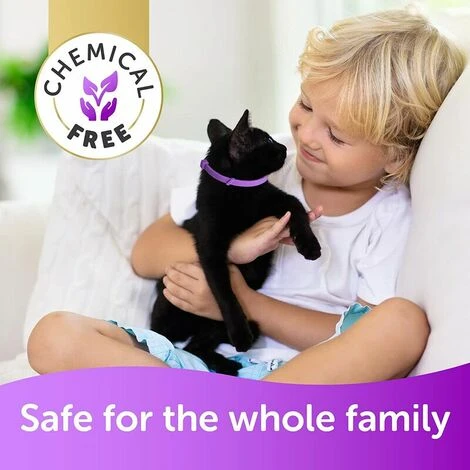 Collare Antipulci E Zecche Per Gatti – 2 Collari 5 Collare Antipulci E Zecche Per Gatti – 2 Collari - immagine 3