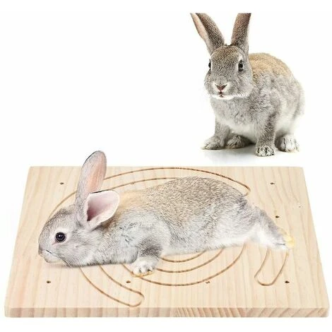 Tavola Da Grattare Con Artigli Di Legno Per Animali Domestici, Riccio, Scoiattolo, Coniglio, Giocattoli, Giochi Da Tavolo 4 Tavola Da Grattare Con Artigli Di Legno Per Animali Domestici, Riccio, Scoiattolo, Coniglio, Giocattoli, Giochi Da Tavolo - immagine 2