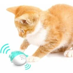 Dentale Per Gatti, Giocattolo Per Gatti Giocattolo Da Masticare Molare In Silicone Giocattolo Per Gatti Spazzolino Da Denti Con Erba Gatta Giocattolo Interattivo Igiene Dentale Per Gatti Gioc 11 Dentale Per Gatti, Giocattolo Per Gatti Giocattolo Da Masticare Molare In Silicone Giocattolo Per Gatti Spazzolino Da Denti Con Erba Gatta Giocattolo Interattivo Igiene Dentale Per Gatti Gioc -Cibi per gatti Italia 98723849 5