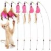 Piume Di Gatto E Bacchetta Giocattolo Giocattoli Per Gatti Con Piuma Di Gatto A Forma Di Set Di 6 1 Piume Di Gatto E Bacchetta Giocattolo Giocattoli Per Gatti Con Piuma Di Gatto A Forma Di Set Di 6 -Cibi per gatti Italia 98725816 1