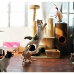 Piume Di Gatto E Bacchetta Giocattolo Giocattoli Per Gatti Con Piuma Di Gatto A Forma Di Set Di 6 -Cibi per gatti Italia 98725816 5