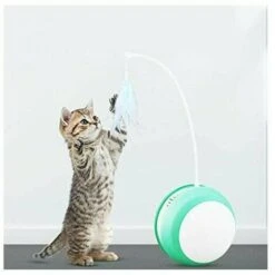Giocattolo Elettrico Per Gatti Con Palla Cat Tumbler Toy Anti-caduta Led Feather Canna Da Pesca Self-rolling Cat Funny Pet Supplies Blue 9 Giocattolo Elettrico Per Gatti Con Palla Cat Tumbler Toy Anti-caduta Led Feather Canna Da Pesca Self-rolling Cat Funny Pet Supplies Blue -Cibi per gatti Italia 98726826 3