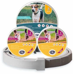 Gatto Collare Antipulci E Antizecche Zecche Collare Antipulci E Antizecche Regolabile E Impermeabile Protezione 8 Mesi Taglia Unica (1) -Cibi per gatti Italia 99777204 3