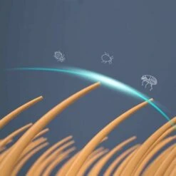 Gatto Collare Antipulci E Antizecche Zecche Collare Antipulci E Antizecche Regolabile E Impermeabile Protezione 8 Mesi Taglia Unica (1) -Cibi per gatti Italia 99777204 4