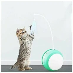 Giocattolo Elettrico Per Gatti Giocattolo Per Gatti Con Palla Anti-caduta LED Piuma Canna Da Pesca Auto-rotolante Forniture Per Animali Domestici Per Gatti Divertenti Blu -Cibi per gatti Italia 99781774 3