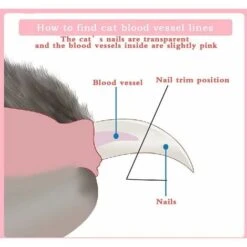 Tagliaunghie Per Gatti, Tagliaunghie Professionale Multifunzione Per Cuccioli E Piccoli Animali, Forbici In Acciaio Inox, Dotate Di Luce LED Ad Alta Luminosità E Luce UV (Verde) -Cibi per gatti Italia 99783682 5