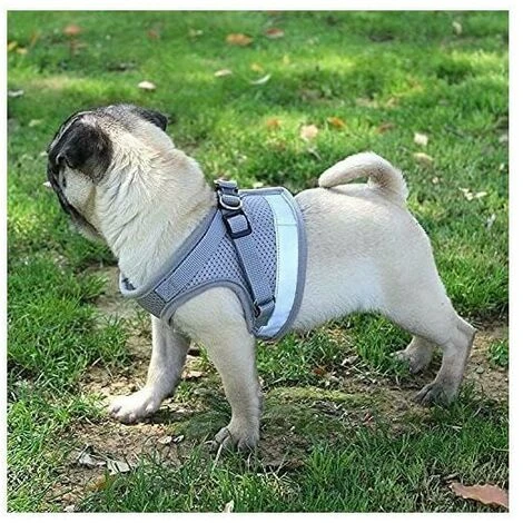 Pettorina Riflettente, Pettorina Regolabile, Pettorina Con Guinzaglio, Pettorina Per Cuccioli, Pettorina Per Gatti (Grigio - M) 4 Pettorina Riflettente, Pettorina Regolabile, Pettorina Con Guinzaglio, Pettorina Per Cuccioli, Pettorina Per Gatti (Grigio - M) - immagine 2