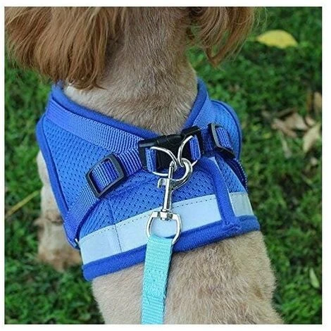 Pettorina Riflettente, Pettorina Regolabile, Pettorina Con Guinzaglio, Pettorina Per Cuccioli, Pettorina Per Gatti (Grigio - M) 6 Pettorina Riflettente, Pettorina Regolabile, Pettorina Con Guinzaglio, Pettorina Per Cuccioli, Pettorina Per Gatti (Grigio - M) - immagine 4