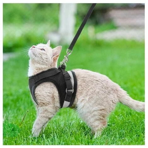 Pettorina Riflettente, Pettorina Regolabile, Pettorina Con Guinzaglio, Pettorina Per Cuccioli, Pettorina Per Gatti (Grigio - M) 7 Pettorina Riflettente, Pettorina Regolabile, Pettorina Con Guinzaglio, Pettorina Per Cuccioli, Pettorina Per Gatti (Grigio - M) - immagine 5